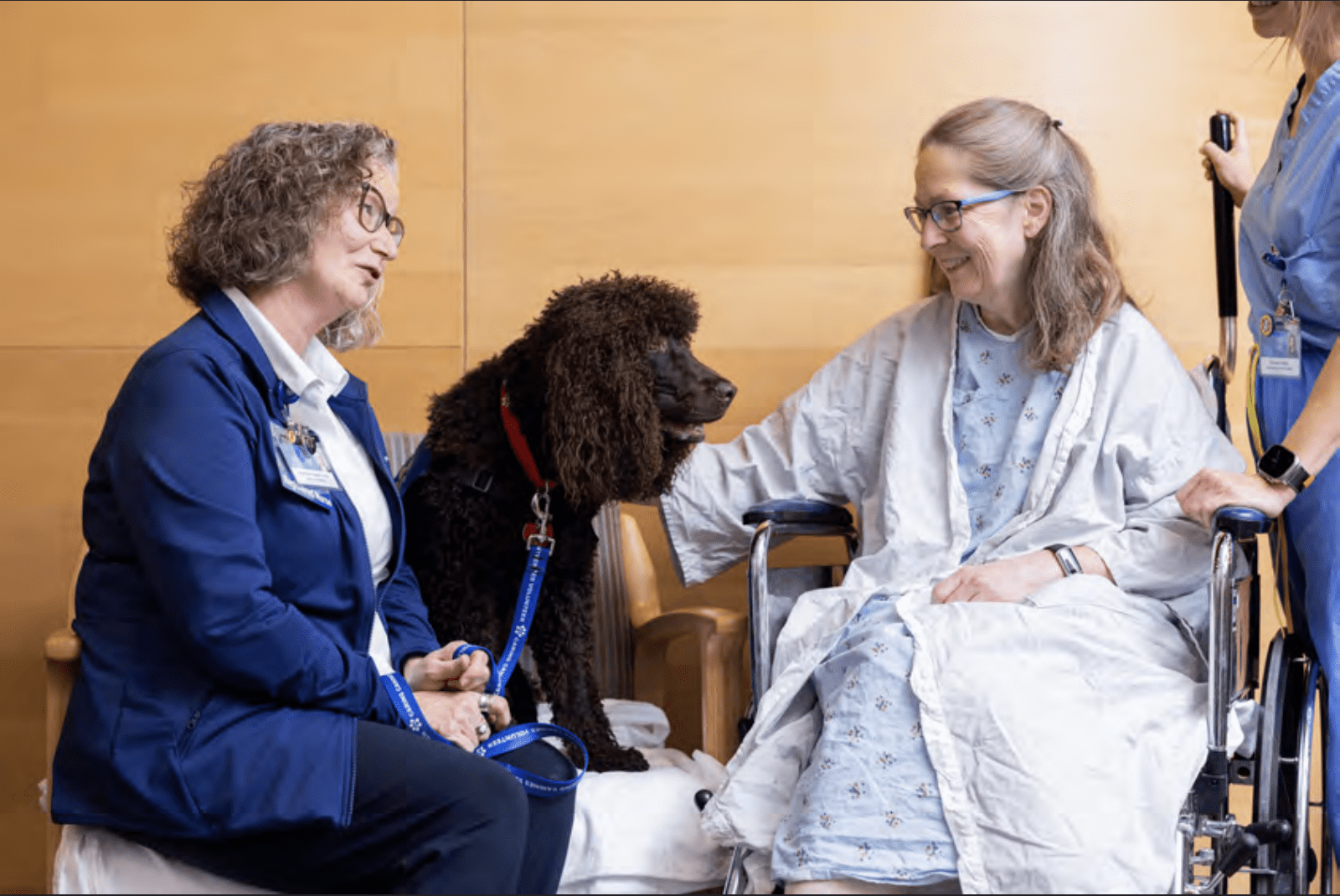 An ATD Member sits next to her chocolate colored dog who visits with a Mayo Clinic patient